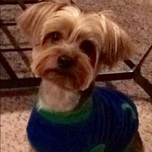 Meet your Posher, April